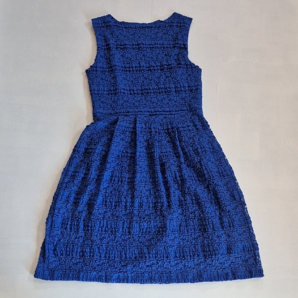 HOLIDAY SALE Enfocus Studio Royal Blue Lace Dress - Picture 3 of 4